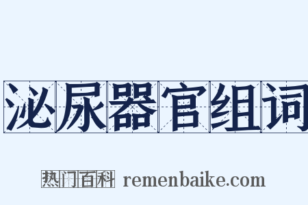 泌尿器官组词是什么意思的图片